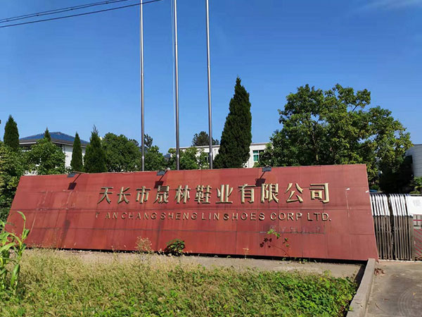 天長市晟林鞋業有限公司